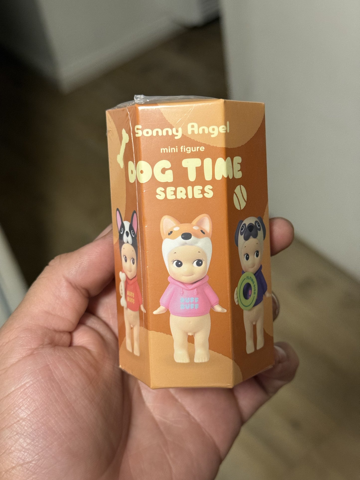 Dog Time Series